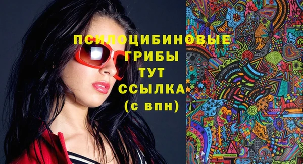 гашик Верхний Тагил