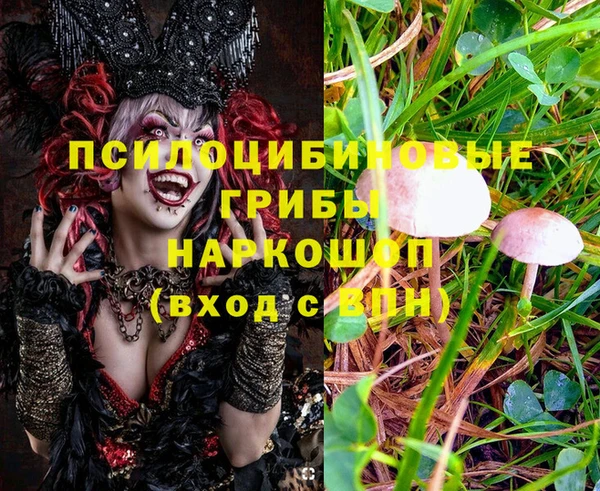 гашик Верхний Тагил