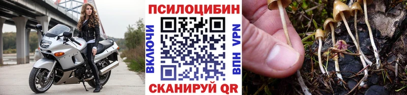 Галлюциногенные грибы Cubensis  как найти   Ковров 